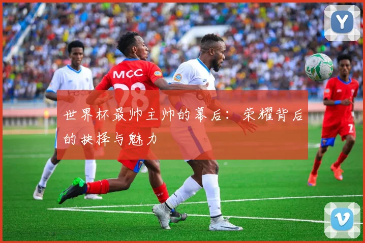 世界杯最帅主帅的幕后：荣耀背后的抉择与魅力