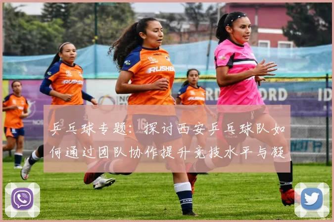 乒乓球专题：探讨西安乒乓球队如何通过团队协作提升竞技水平与凝聚力