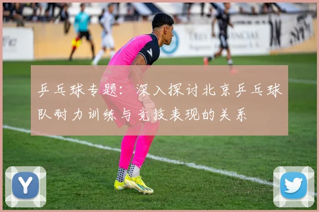 乒乓球专题：深入探讨北京乒乓球队耐力训练与竞技表现的关系