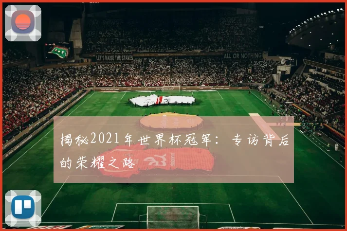揭秘2021年世界杯冠军：专访背后的荣耀之路