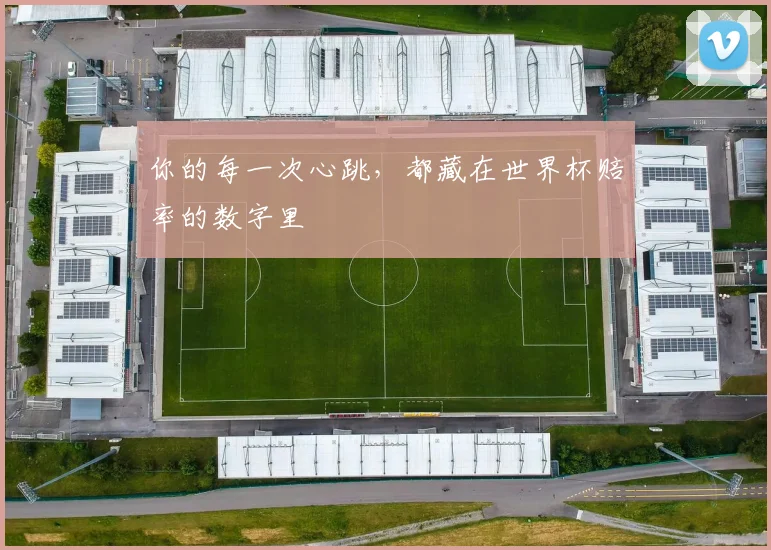 你的每一次心跳，都藏在世界杯赔率的数字里