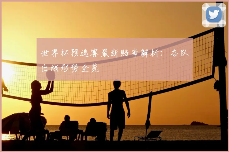 世界杯预选赛最新赔率解析:各队出线形势全览