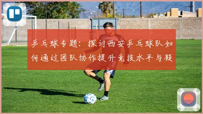 乒乓球专题：探讨西安乒乓球队如何通过团队协作提升竞技水平与凝聚力