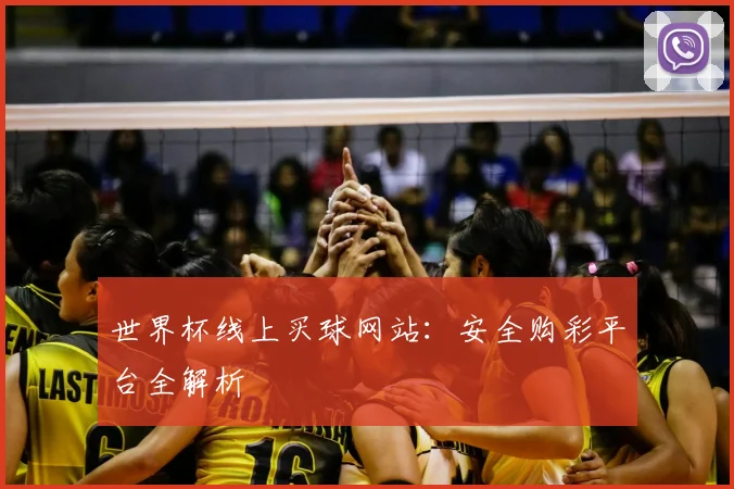 世界杯线上买球网站：安全购彩平台全解析
