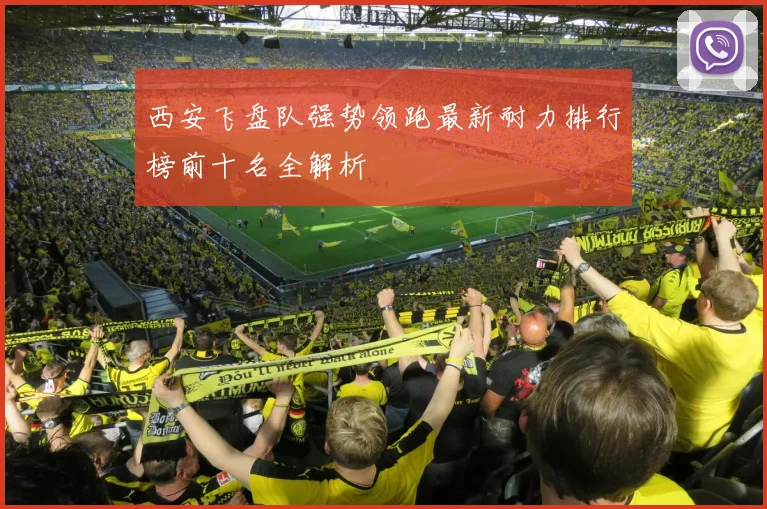 西安飞盘队强势领跑最新耐力排行榜前十名全解析
