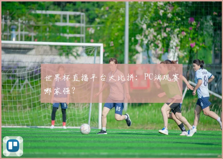 世界杯直播平台大比拼：PC端观赛哪家强？