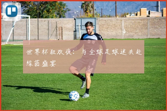 世界杯狂欢夜：与全球足球迷共赴绿茵盛宴