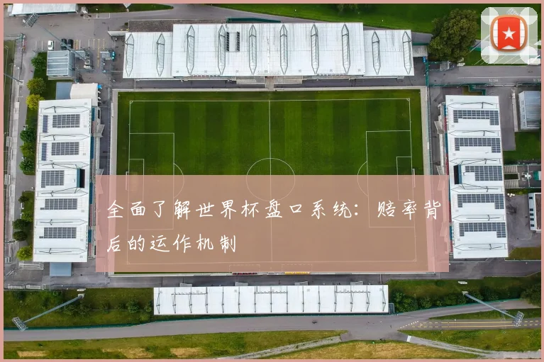 全面了解世界杯盘口系统：赔率背后的运作机制