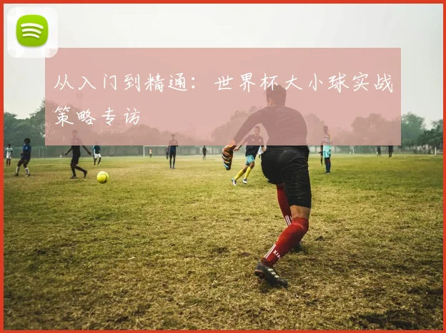 从入门到精通：世界杯大小球实战策略专访