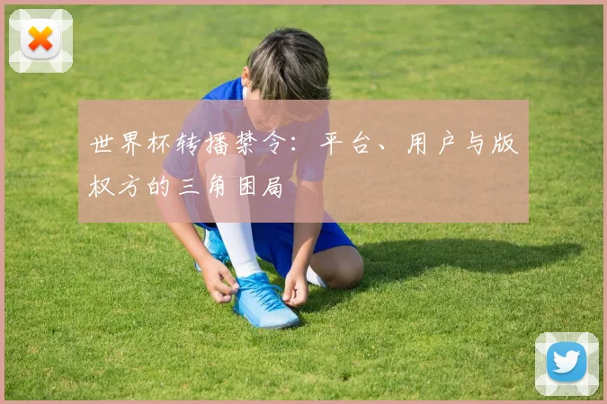 世界杯转播禁令：平台、用户与版权方的三角困局