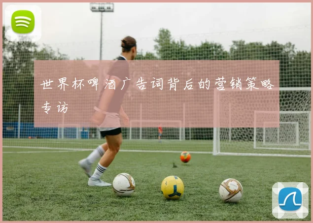 世界杯啤酒广告词背后的营销策略专访