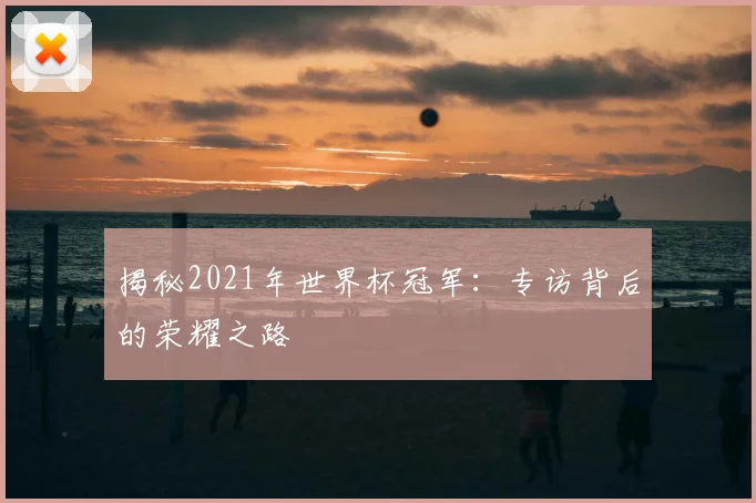 揭秘2021年世界杯冠军：专访背后的荣耀之路