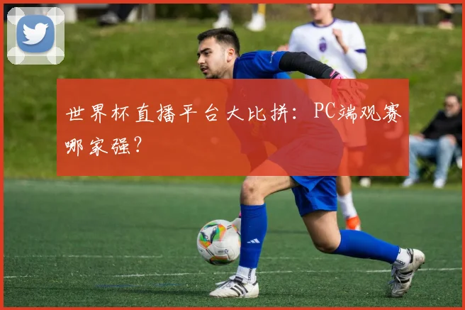 世界杯直播平台大比拼：PC端观赛哪家强？