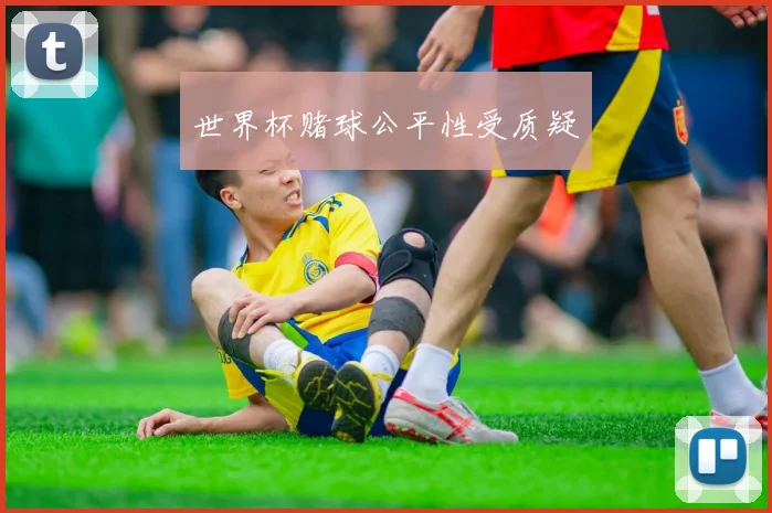 世界杯赌球公平性受质疑