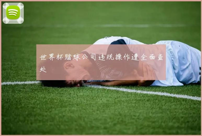 世界杯赌球公司违规操作遭全面查处